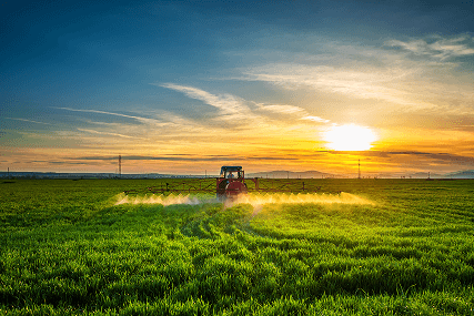 Agricultural Bearings