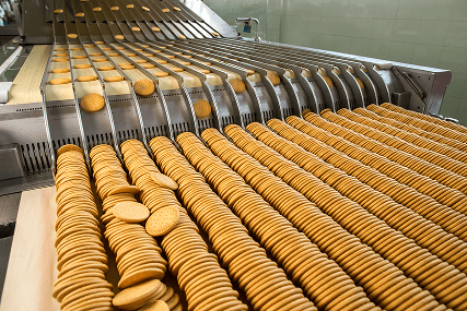 Food Industry Bearings
